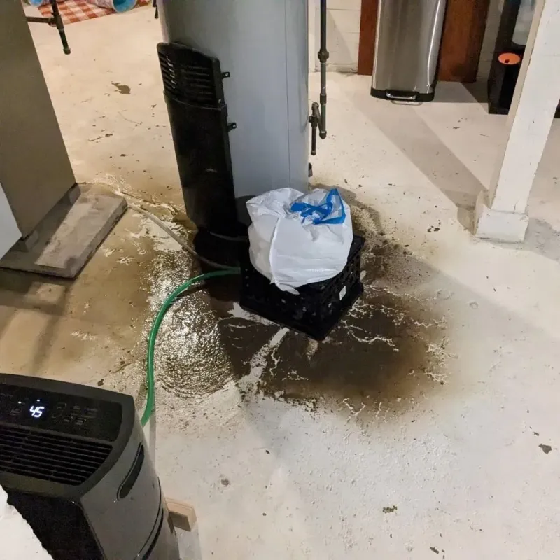 Sewage Backup Cleanup Service in Andrews, TX
